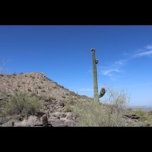 Meet your Posher, Carmen